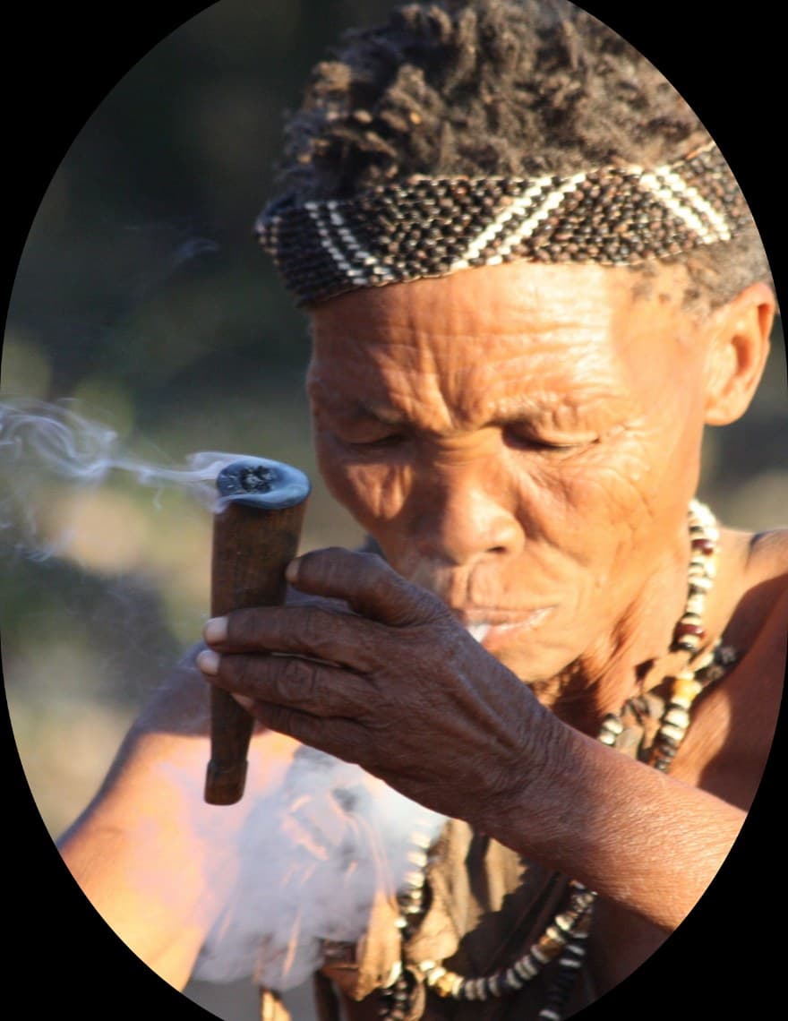 Indigenous & Folk Medicine