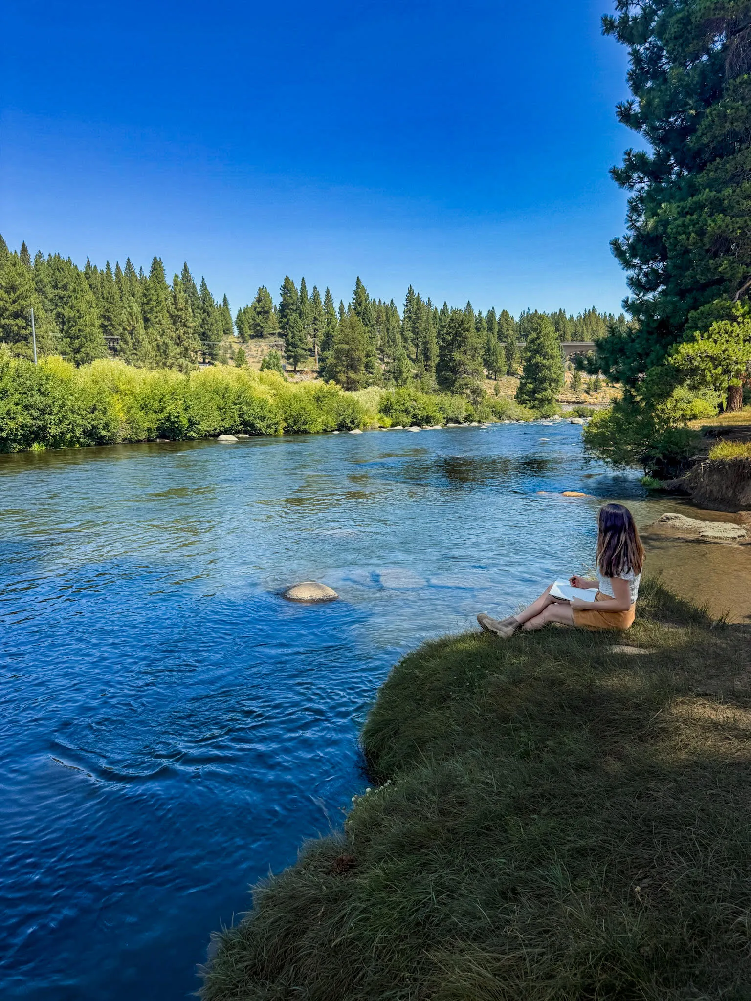 It Starts in Truckee